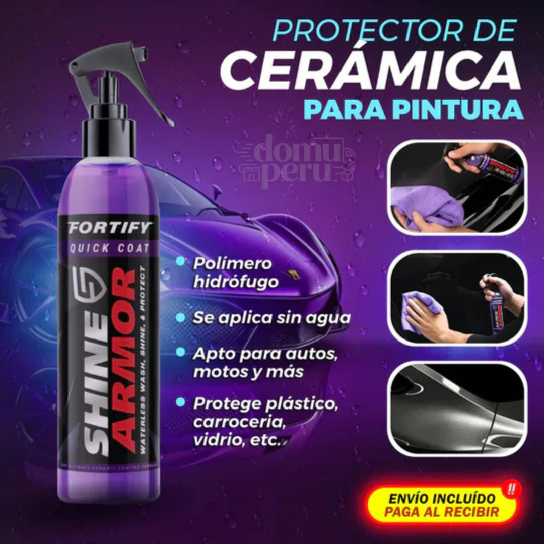 RESTAURADOR DE PINTURA PARA AUTO