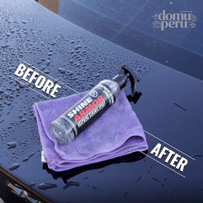 RESTAURADOR DE PINTURA PARA AUTO